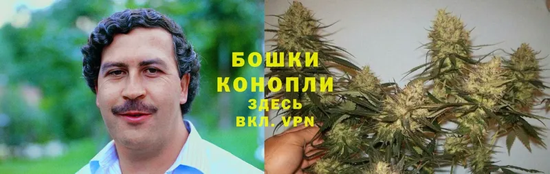 хочу наркоту  сайты даркнета какой сайт  Шишки марихуана SATIVA & INDICA  Полярные Зори 